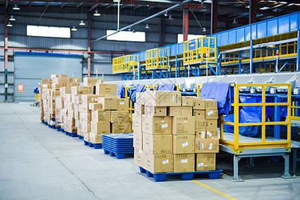 아이윌 일일 생산 및 배송